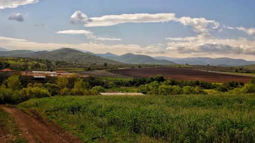 Scenic view of field against sky