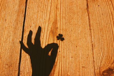 Shadow of person hand on wood