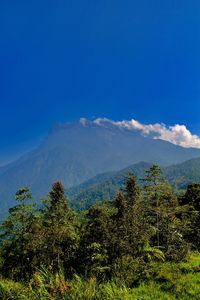 Scenic view of landscape against blue sky