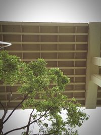 Low angle view of building