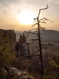 Rocks at kleiner zschand and mountain rock falkenstein seen from affensteine in saxon switzerland