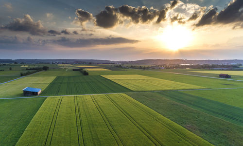 Scenic view of agricultural field against sky during sunset