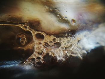 Detail shot of bubbles