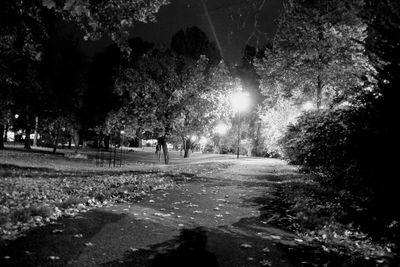 Illuminated trees against sky at night