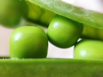 Close-up of green fruits