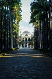 Street amidst trees and buildings against sky