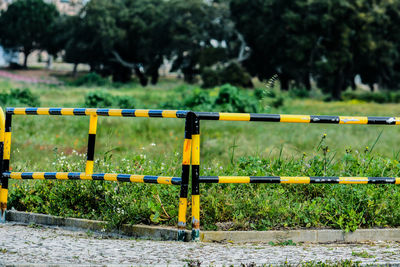 Yellow metal railing by plants