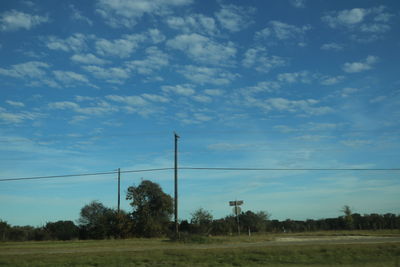 Trees against sky