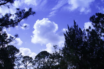 Low angle view of trees against cloudy sky