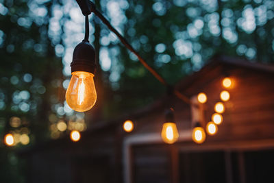 Close-up of outdoor garland with warm lights, with blurred trees on the background. 