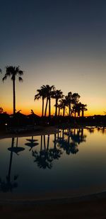 Silhouette palm trees by swimming pool against sky during sunset