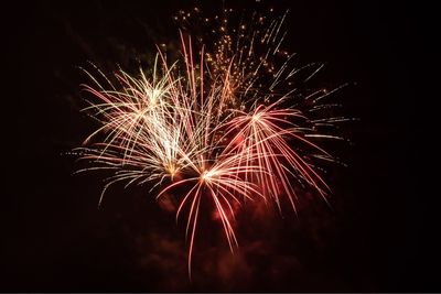 Low angle view of firework display at night