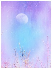 Low angle view of moon against sky at night