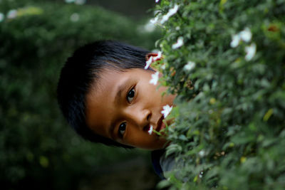 Portrait of boy looking at plants