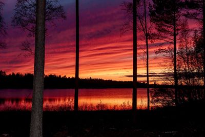 Silhouette trees by lake against orange sky