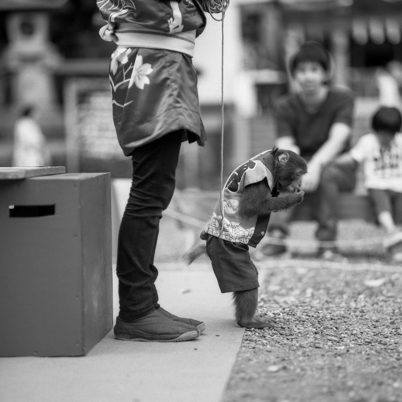 men, child, boys, childhood, real people, one animal, pets, males, people, domestic, domestic animals, mammal, standing, day, full length, incidental people, selective focus