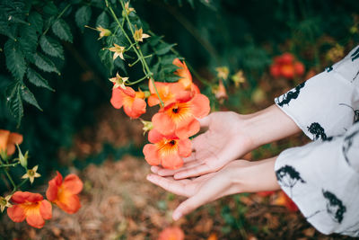 Midsection of person holding flowering plant