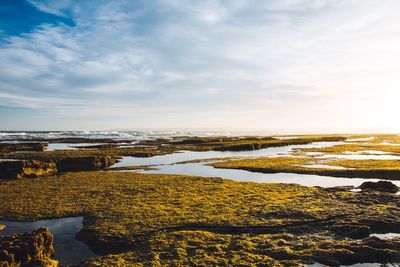 Scenic view of sea against sky