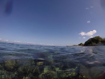 Scenic view of sea against clear blue sky