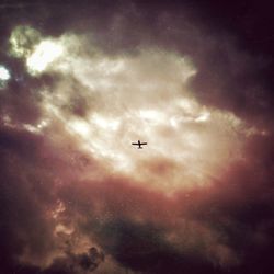 Low angle view of airplane flying in sky