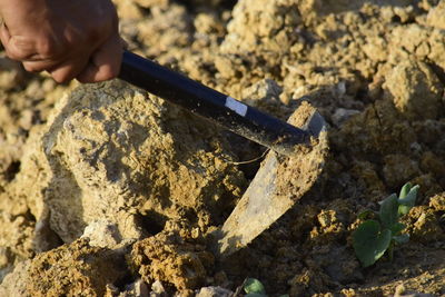 High angle view of person working on land