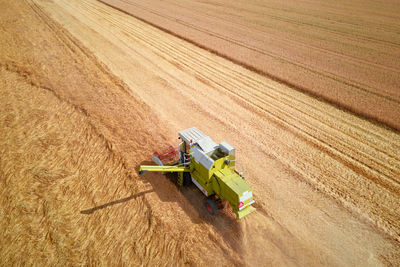 Harvester combine working in the field