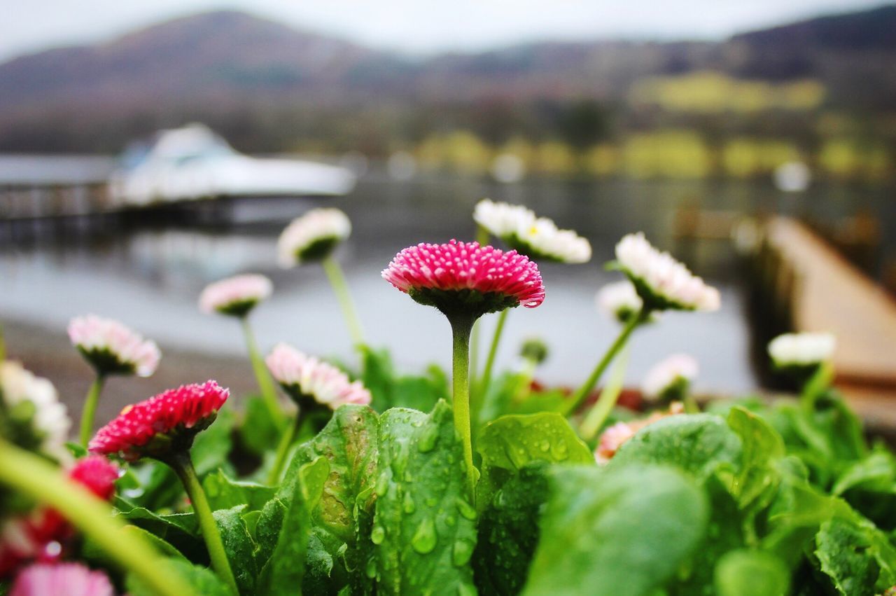 Lake Windermere