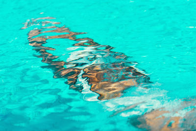 Person swimming in pool