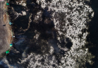 Close-up of trees against sky