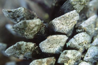Close-up of rocks
