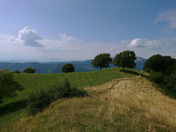 Scenic view of field against sky