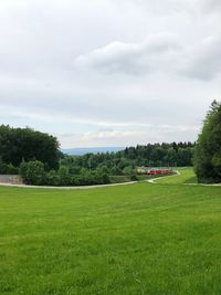 Scenic view of grassy field against sky