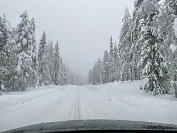 Road amidst trees against sky during winter