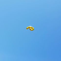 Low angle view of a bird flying in the sky