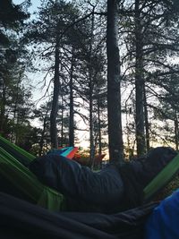 Man sleeping by trees in forest