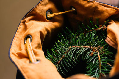 Atmospheric photo of a brown and black backpack inside. hipster christmas mood. youth style. spruce 