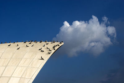 Low angle view of pigeons perching on roof against sky