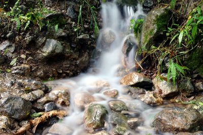 Scenic view of waterfall in forest