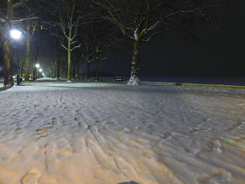 Illuminated street lights at night