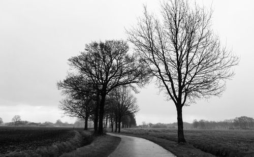 Bare tree by road on field against sky