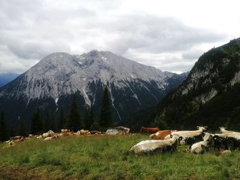 View of sheep on mountain range against sky