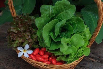 Close-up of vegetables