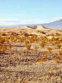 Scenic view of desert against sky