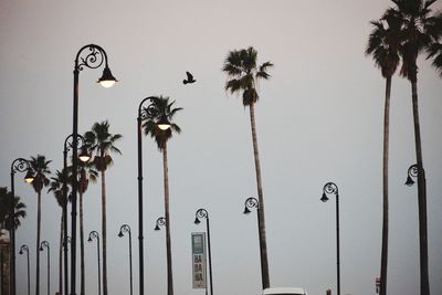Low angle view of street lights against sky