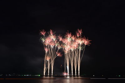 Firework display at night