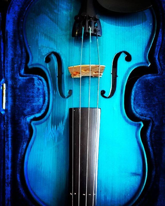 Blueviolin