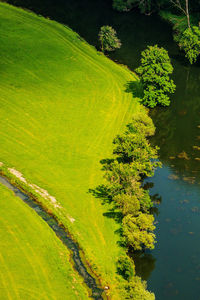 High angle view of trees on field
