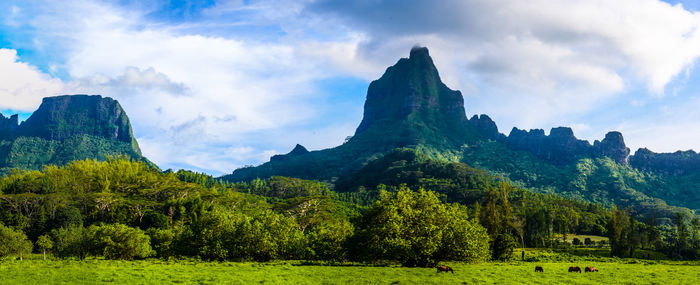 Panoramic view of landscape against sky