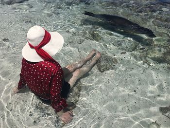 High angle view of woman sitting at beach