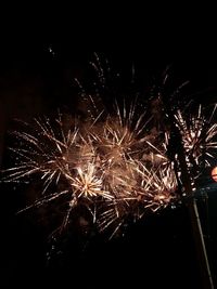 Low angle view of firework display at night
